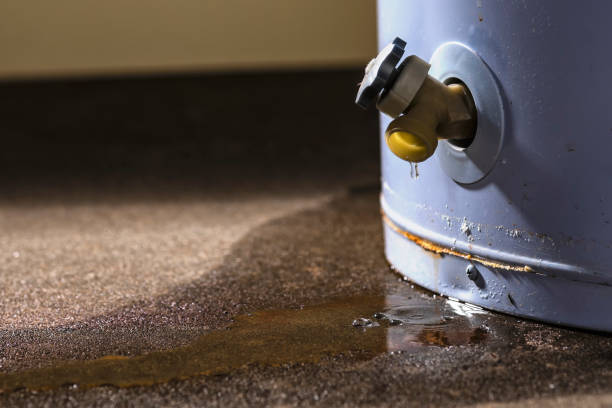 Best Water damage restoration services  in Manhattan, IL