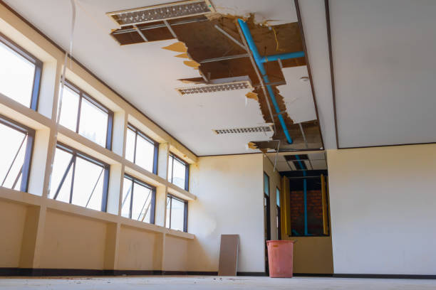 Best Flood damage cleanup  in Manhattan, IL