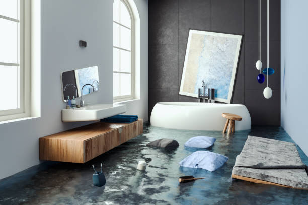 Best Water damage restoration experts  in Manhattan, IL