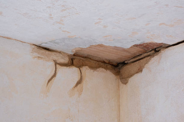 Best Flooded house restoration  in Manhattan, IL