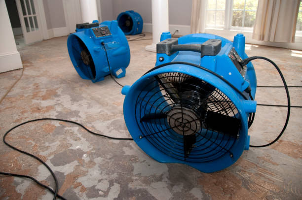 Best Emergency water damage restoration  in Manhattan, IL